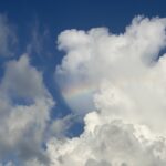 冬、整えるという贅沢 ― 体も心も温まる、薬草と暮らす冬の本。