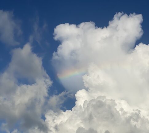 冬、整えるという贅沢 ― 体も心も温まる、薬草と暮らす冬の本。