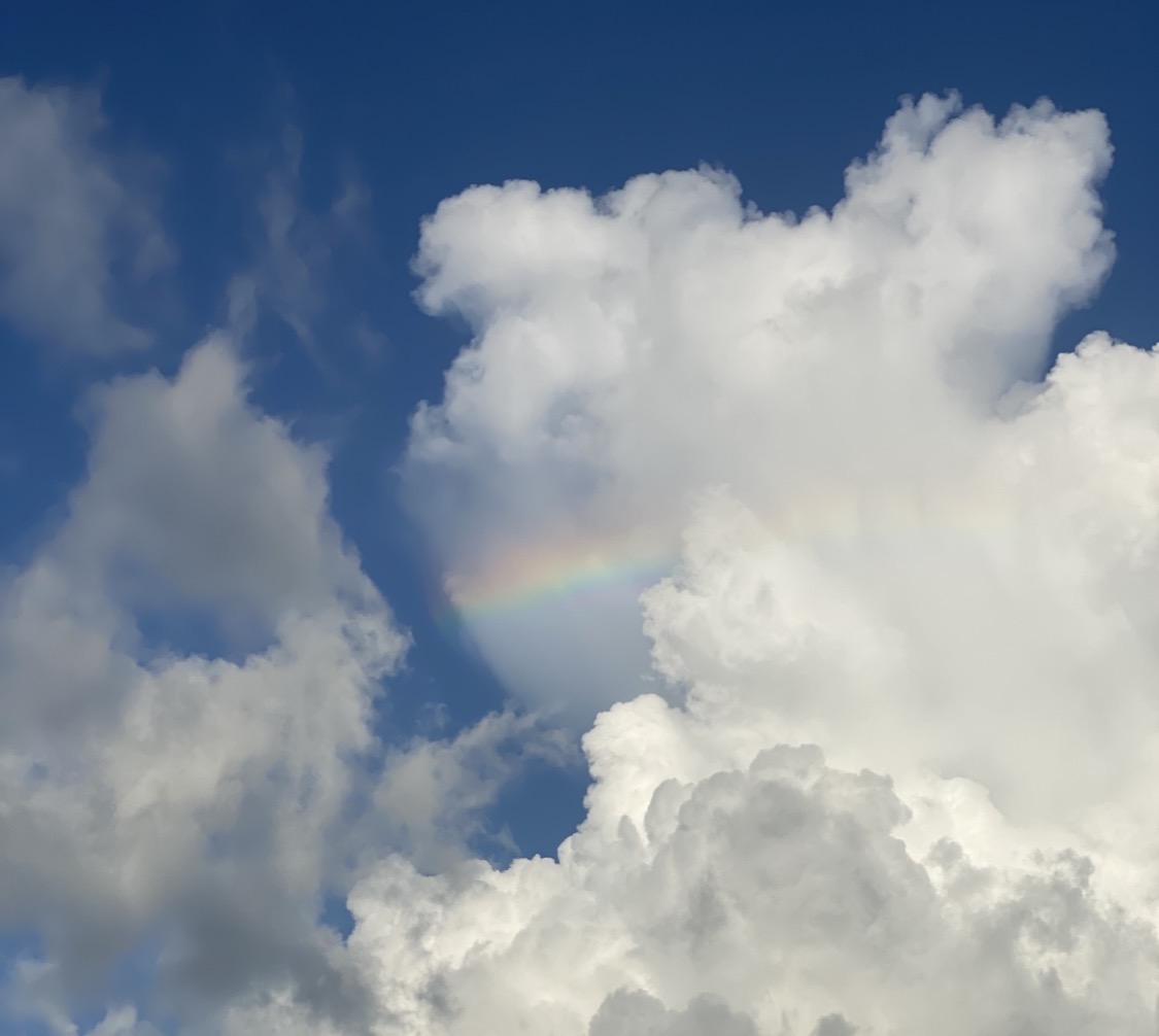 冬、整えるという贅沢 ― 体も心も温まる、薬草と暮らす冬の本。