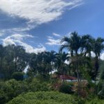 自然のままに生きる薬草園 ― 長寿源の日々