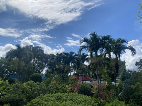 自然のままに生きる薬草園 ― 長寿源の日々