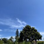 梅雨明けの重だるさをすっきり。夏を元気に乗り切るための、やさしい心と体の養生法