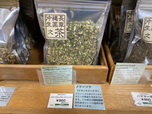 秋の忘れ草が入荷