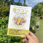【保存版】春ウコンって実際どうなの？薬草一筋52年のレジェンドに聞いた秘密が1冊の冊子になりました！